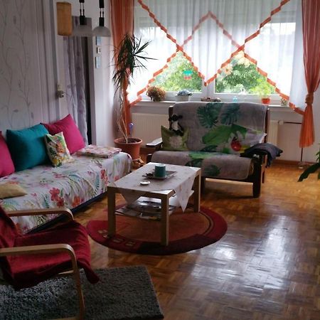 Gemunden an der WohraHaus-In-Gemuenden-An-Der-Wohraアパートメント エクステリア 写真